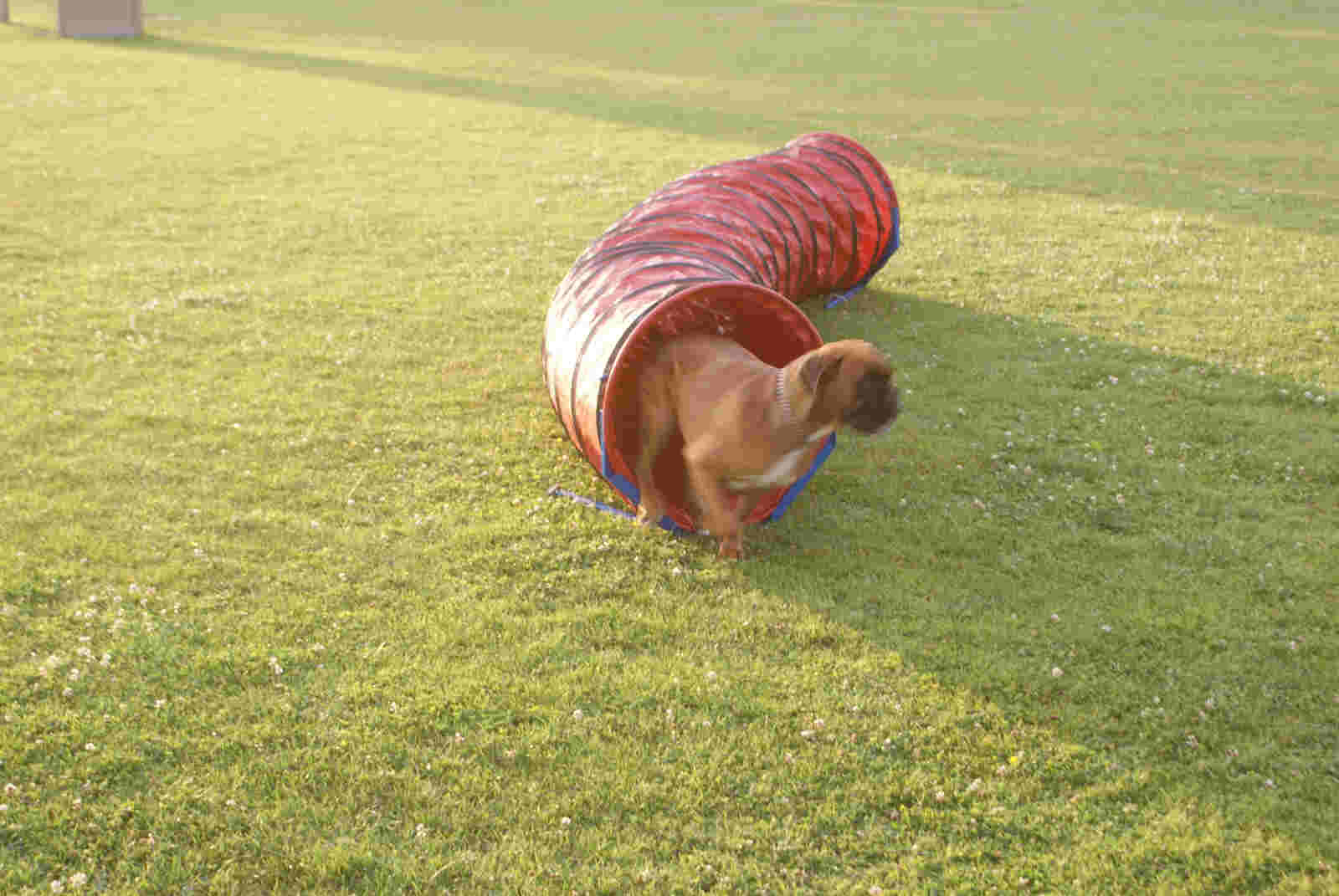 Afbeelding / Picture