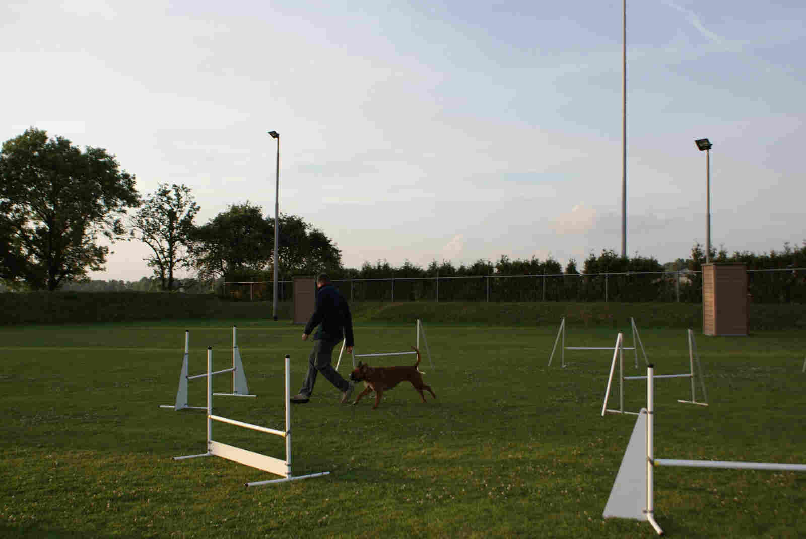 Afbeelding / Picture