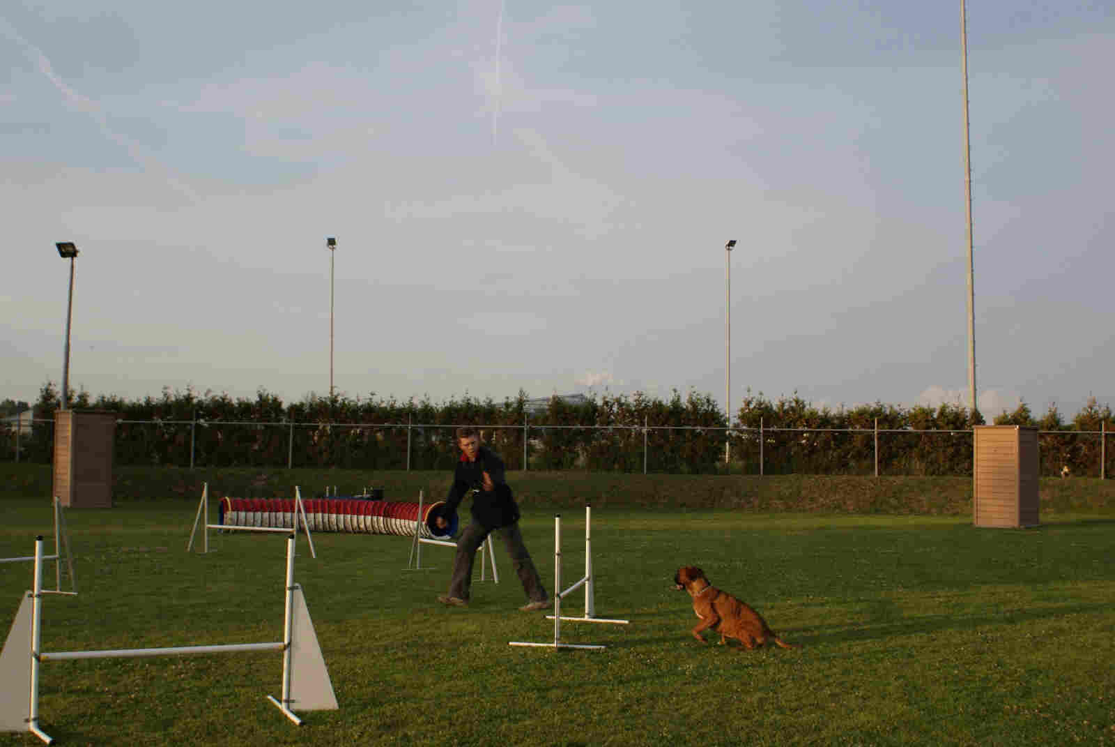 Afbeelding / Picture