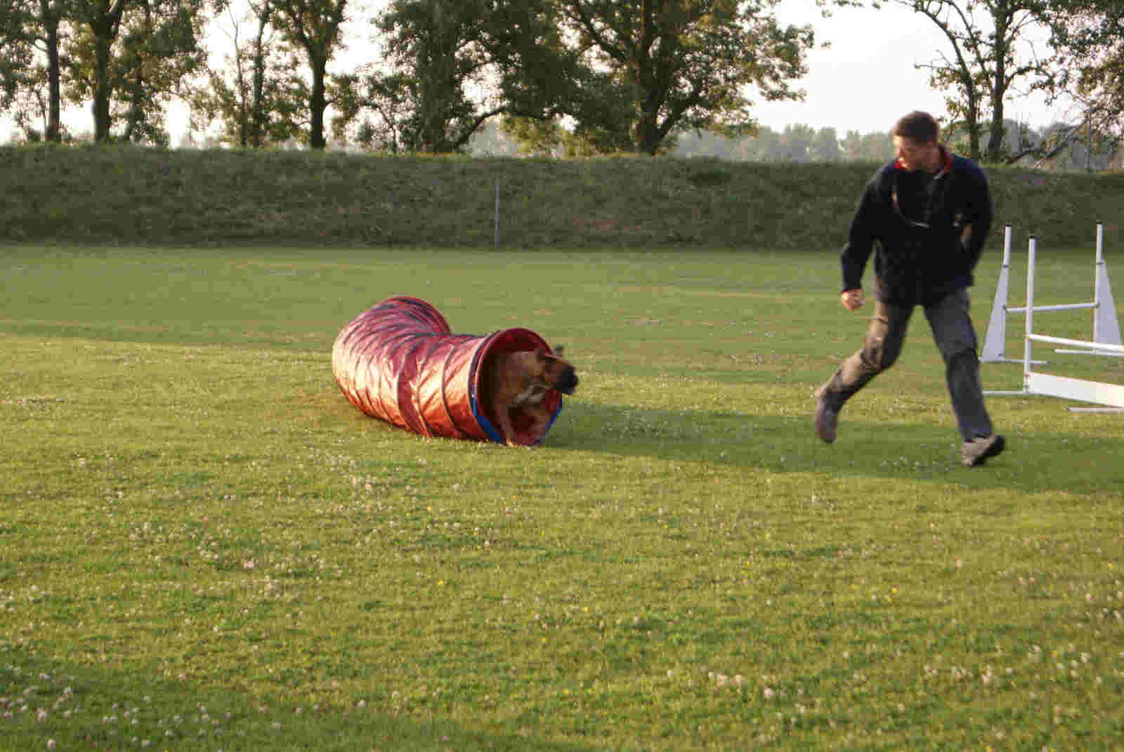 Afbeelding / Picture