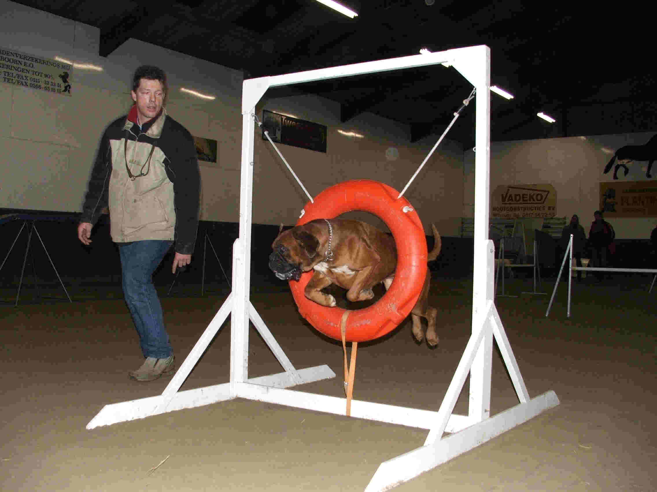 Afbeelding / Picture